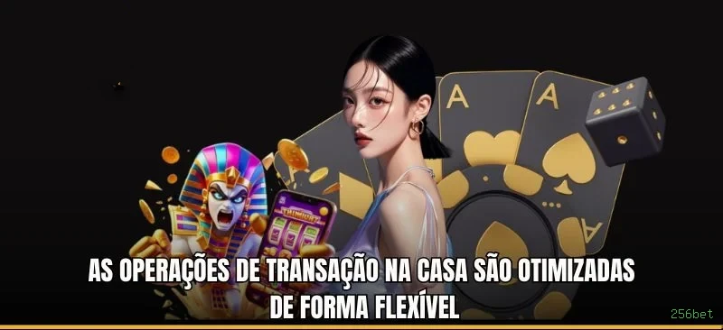 Interface do Aplicativo 256bet - Design Premium e Intuitivo
